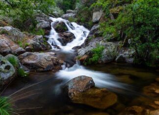 La Privatización del Agua en España.