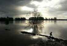 Datos y fotos sobre La Crecida del Río Guadiana