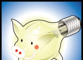 Cómo Aprovechar la luz Natural para Reducir el Consumo Eléctrico⚡