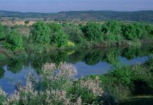 España es el país europeo con más territorio Natural Protegido