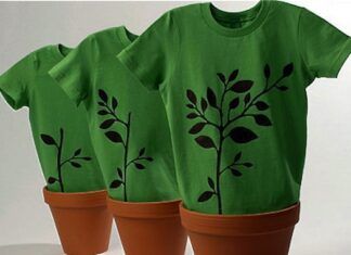 Crear un Negocio Ecológico Rentable Negocio ecologico