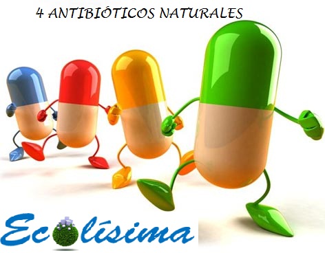 Antibióticos Naturales