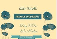 Ideas Ecológicas para el Día de la Madre