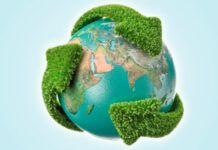 Los Sectores Industriales que más Reciclan en España