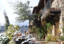 Cómo Cuidar tu Jardín en Invierno Cuidar Jardin en Invierno