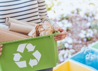 El Arte del Reciclaje en Casa: Cómo Empezar y Qué Evitar ♻️