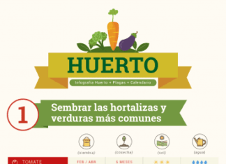 ¿Cómo hacer un huerto?