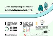Ecología y medio ambiente, datos que te animarán a reciclar mejor