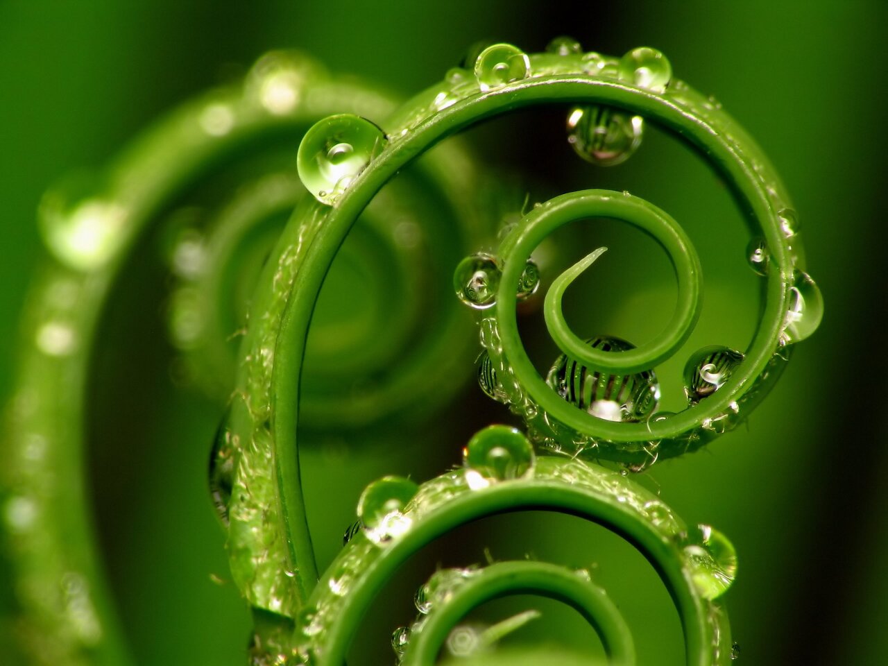 9 Electrodomésticos que Ahorran Agua: ¿Valen la Pena?