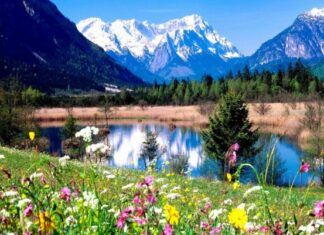 Ya llegó la Primavera.