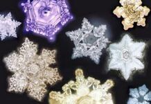 Los secretos ocultos del agua: Masaru Emoto