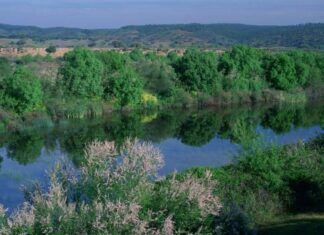 España es el país europeo con más territorio Natural Protegido