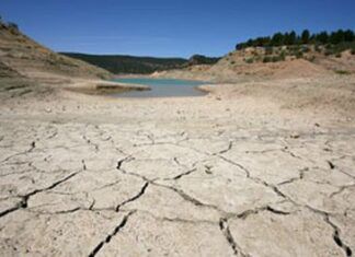 Día Mundial contra la Desertificación: Sequía y Escasez de Agua