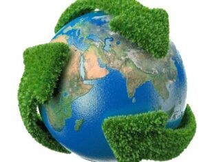 Dia Internacional del Medio Ambiente