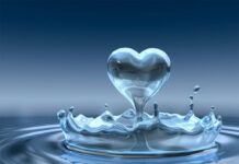 Reutilización de Agua≫Ideas Creativas para Ahorrar