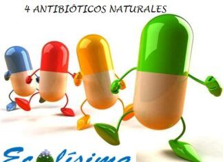 Los 4 mejores antibióticos Naturales Antibióticos Naturales