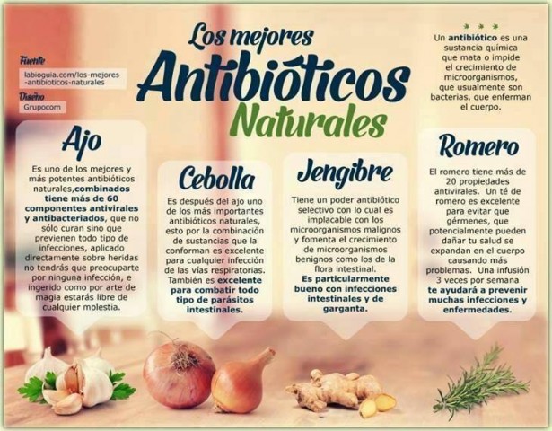 antibióticos naturales