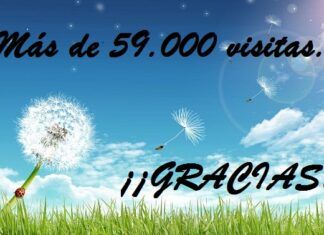 Ecolísima: más de 59.000 visitas en 7 meses Ecolisima cumple 7 meses