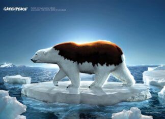 Día de Apoyo a Greenpeace Amar el Árico