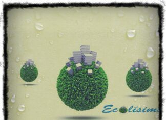 Economía Ambiental:Surgimiento como Ciencia