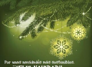 10 Consejos para una Navidad más Verde Navidad verde