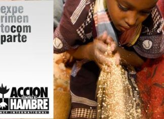 Experimento Comparte:Lección de los más Peques