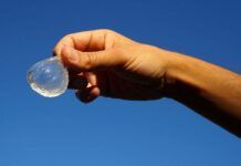 Plantas Nativas: El Secreto para Ahorrar Agua en Tu Jardín Ohoo la botella comestible