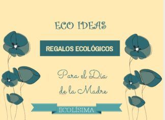 Ideas Ecológicas para el Día de la Madre