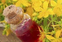 Cómo hacer Aceite de Hipérico: Aftersun 100% Natural