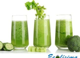 6 Recetas de Batidos Verdes para dar Energía y Perder peso 5 Recetas batidos verdes