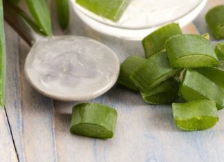 ¿Cómo hacer JABÓN Casero con ALOE VERA?