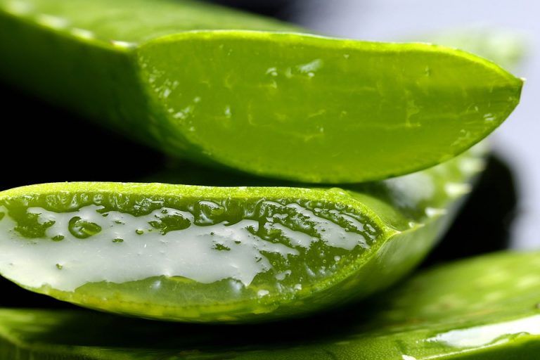 beneficios de los productos naturales para la salud.jpg