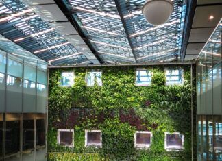 Construcción sustentable: Técnicas y herramientas para un futuro más verde