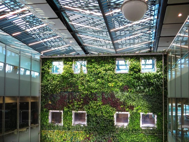 Construcción sustentable: Técnicas y herramientas para un futuro más verde