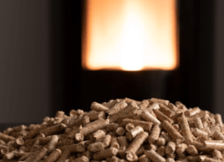 Aprovechando la biomasa como el camino más sostenible hacia una energía eficiente