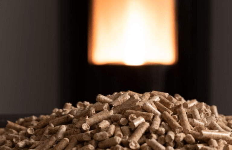 Aprovechando la biomasa como el camino más sostenible hacia una energía eficiente